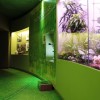 Sezione La Nutrizione_Venezia_Museo di Storia Naturale