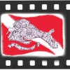 logo-cdv_2-copy